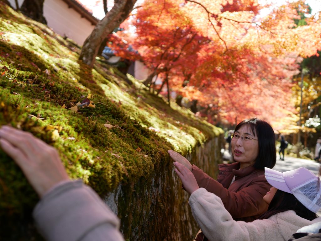 編集かあさんvol.48 紅葉の京都、オノマトペでハイキング